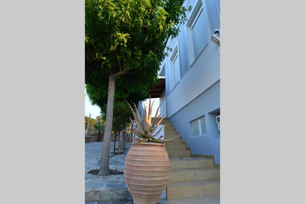 United Blue Resorts - Blue View Karteros Esterno foto